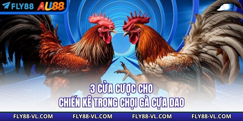 3 cửa cược cho chiến kê trong chọi gà cựa dao