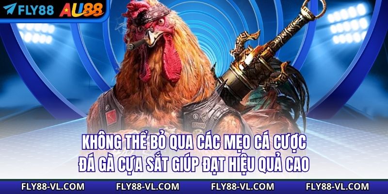 Không thể bỏ qua các mẹo cá cược đá gà cựa sắt giúp đạt hiệu quả cao